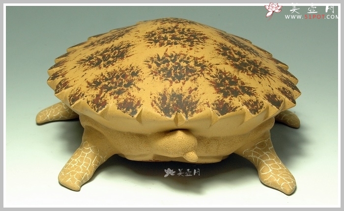 紫砂壶图片：黄金海龟 精细如生 - 宜兴紫砂壶网