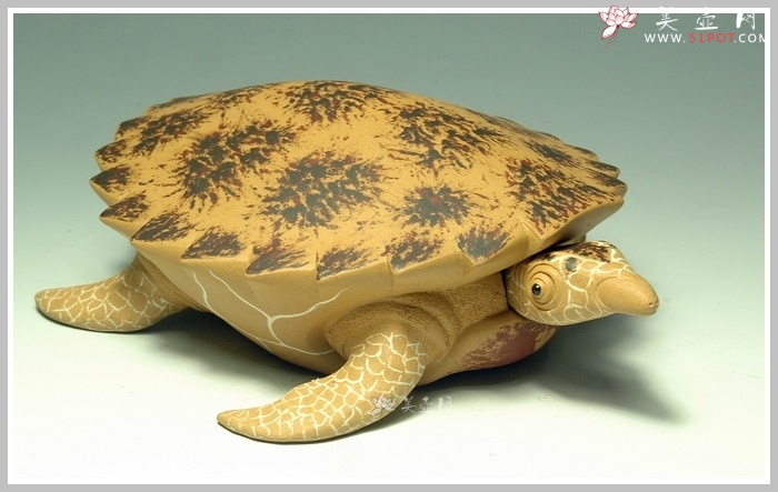 紫砂壶图片：黄金海龟 精细如生 - 宜兴紫砂壶网
