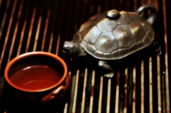 紫砂壶图片：‘名副其实’的龟寿茶  长寿哦o(∩_∩)o  - 宜兴紫砂壶网