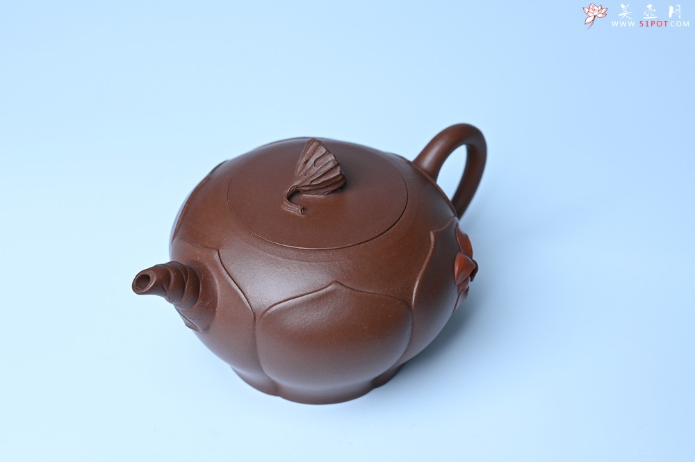 紫砂壶图片：美壶特惠 贴花活灵活现 精致荷花壶 茶人醉爱 - 宜兴紫砂壶网