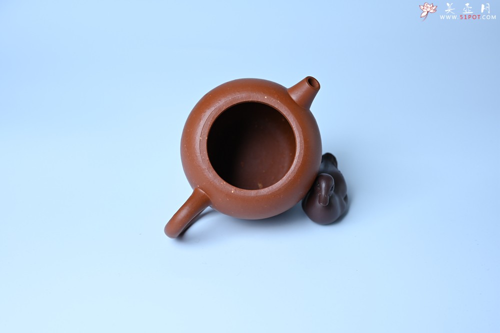紫砂壶图片：美壶特惠 精品粗砂红泥巨轮壶 茶人醉爱 - 宜兴紫砂壶网