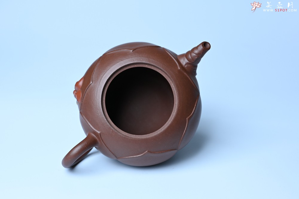 紫砂壶图片：美壶特惠 贴花活灵活现 精致荷花壶 茶人醉爱 - 宜兴紫砂壶网