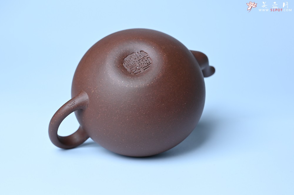 紫砂壶图片：美壶特惠 特好紫泥玉笠壶 茶人醉爱 - 宜兴紫砂壶网