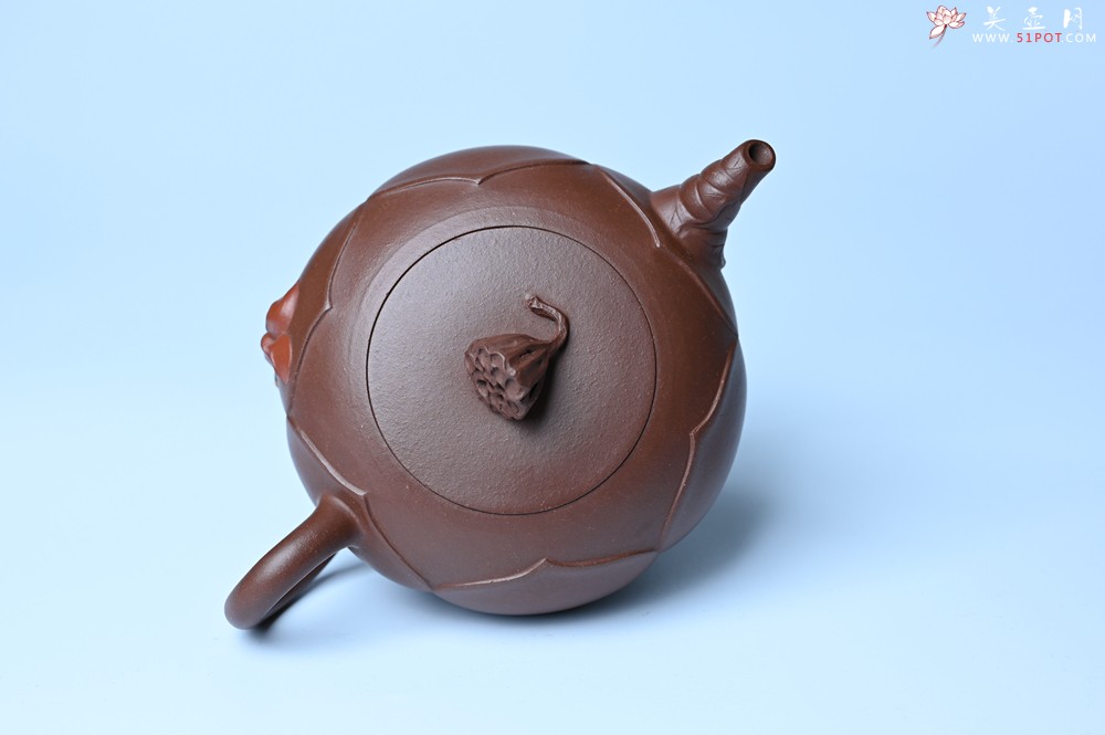 紫砂壶图片：美壶特惠 贴花活灵活现 精致荷花壶 茶人醉爱 - 宜兴紫砂壶网