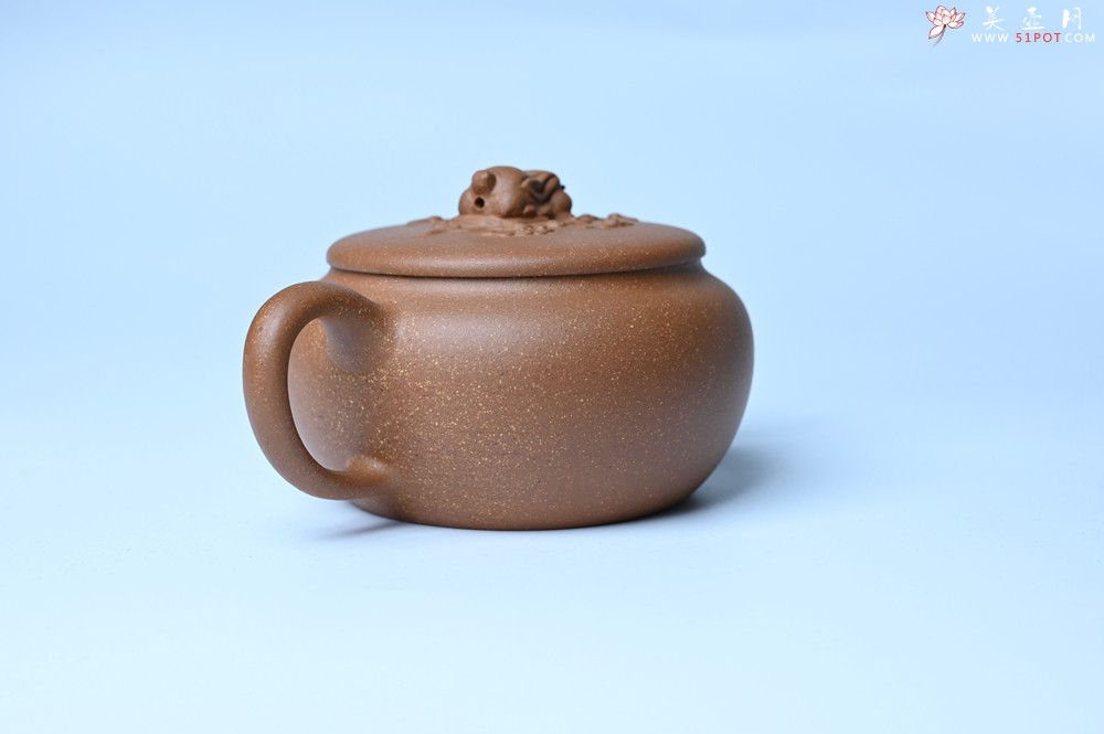 紫砂壶图片：美壶特惠 优质降坡泥花鸟听兔壶 茶人醉爱 - 宜兴紫砂壶网