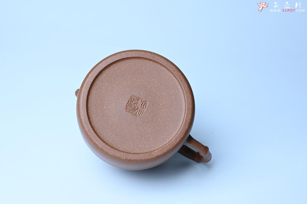 紫砂壶图片：美壶特惠 精致秀雅趣竹壶 茶人醉爱 - 宜兴紫砂壶网