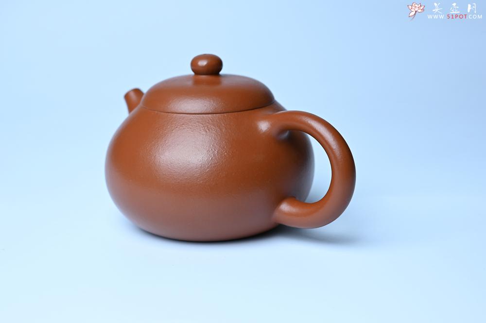 紫砂壶图片：潜力股周小培 油润黄龙山朱泥 全手工文旦壶 壶特好 期待与您结缘 - 宜兴紫砂壶网