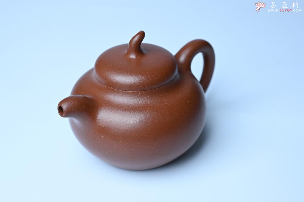 紫砂壶图片：潜力股周小培老师 油润降坡泥全手工茄瓜壶 - 宜兴紫砂壶网