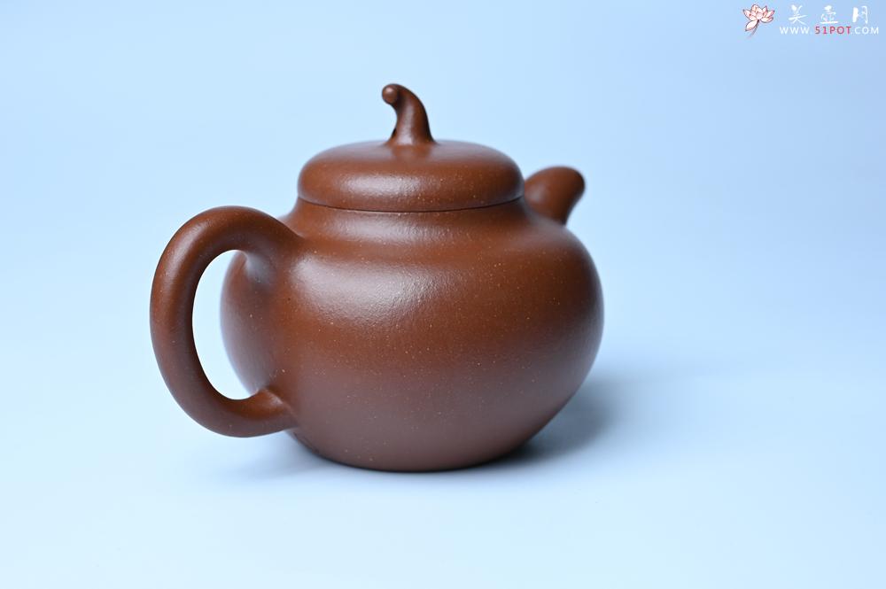 紫砂壶图片：潜力股周小培老师 油润降坡泥全手工茄瓜壶 - 宜兴紫砂壶网
