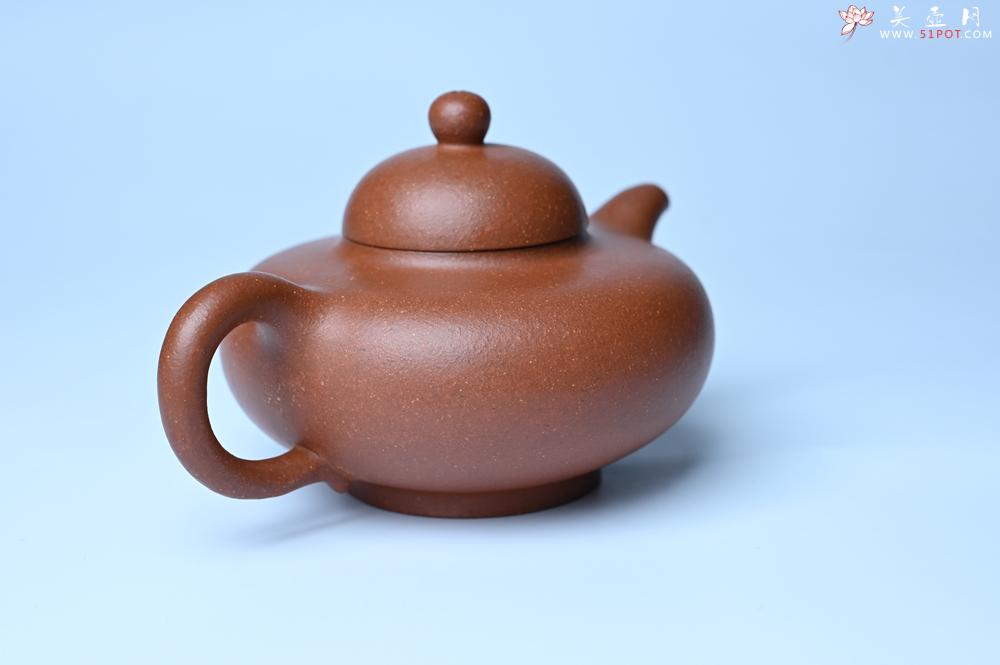 紫砂壶图片：美壶特惠 精致特好降坡泥华颖壶 茶人醉爱 - 宜兴紫砂壶网