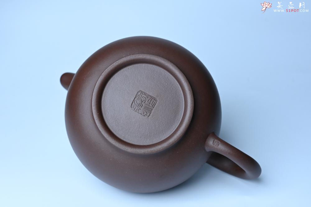 紫砂壶图片：美壶特惠 精致大掇只壶 大品气势恢宏 茶人醉爱 - 宜兴紫砂壶网