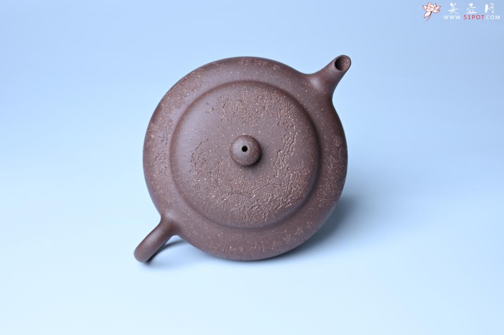 紫砂壶图片：美壶特惠 特好紫泥扁玉壶 装饰不老松 文气十足 - 宜兴紫砂壶网