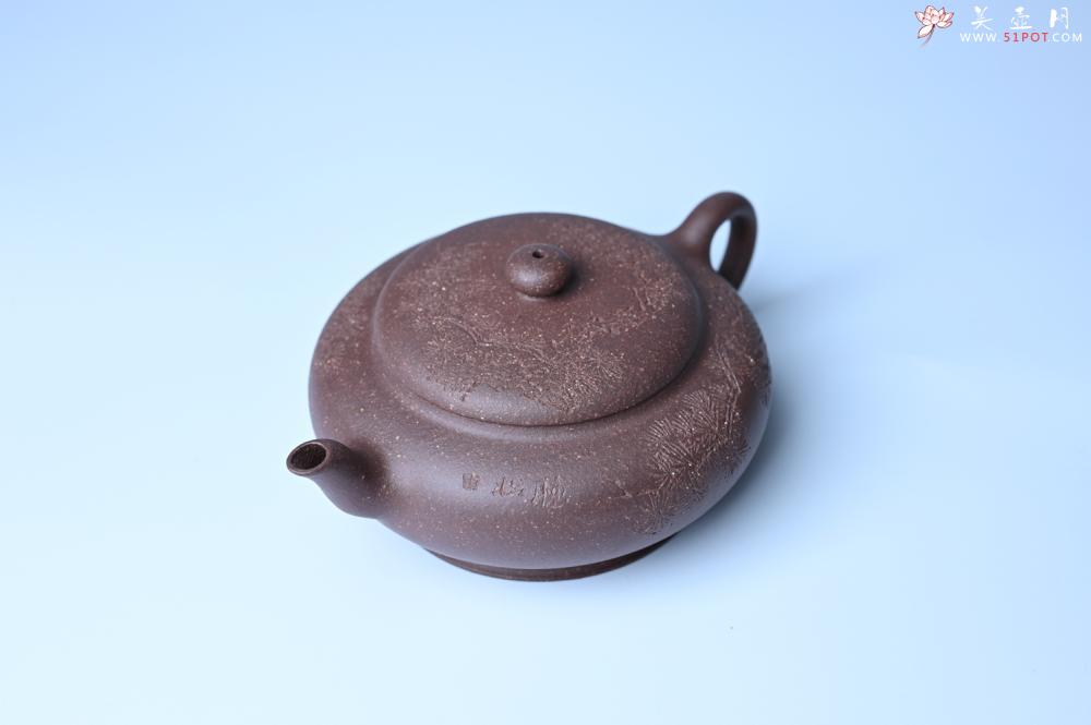 紫砂壶图片：美壶特惠 特好紫泥扁玉壶 装饰不老松 文气十足 - 宜兴紫砂壶网
