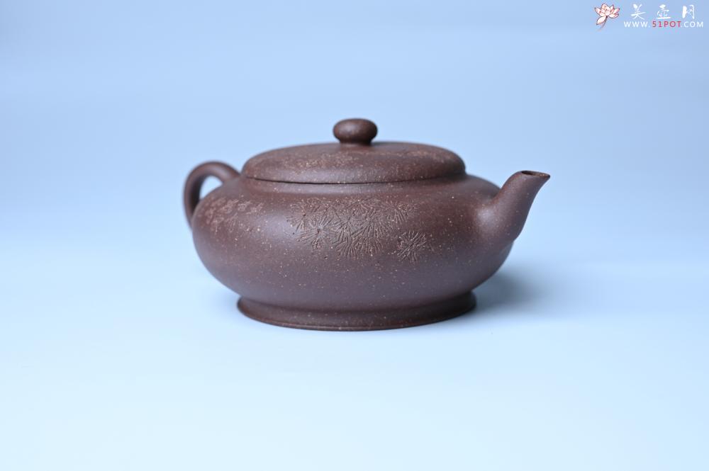 紫砂壶图片：美壶特惠 特好紫泥扁玉壶 装饰不老松 文气十足 - 宜兴紫砂壶网