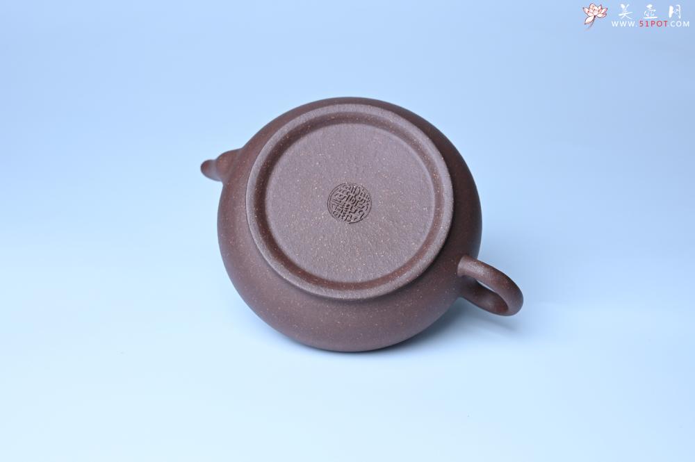 紫砂壶图片：美壶特惠 特好紫泥扁玉壶 装饰不老松 文气十足 - 宜兴紫砂壶网