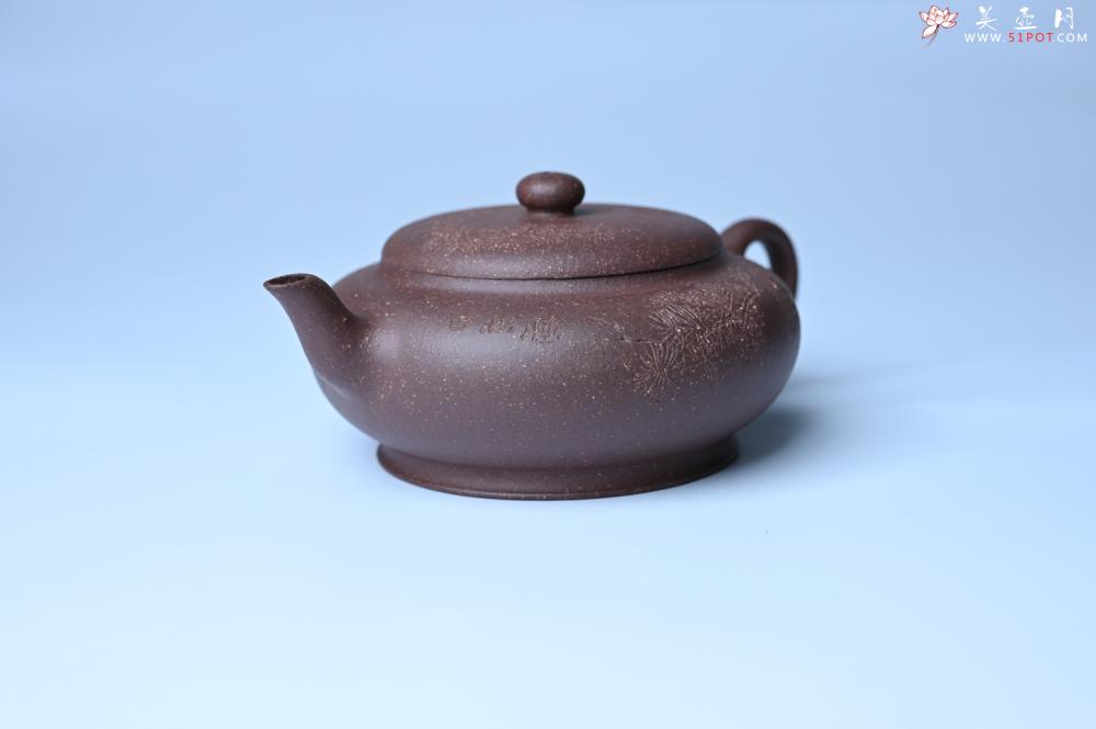 紫砂壶图片：美壶特惠 特好紫泥扁玉壶 装饰不老松 文气十足 - 宜兴紫砂壶网