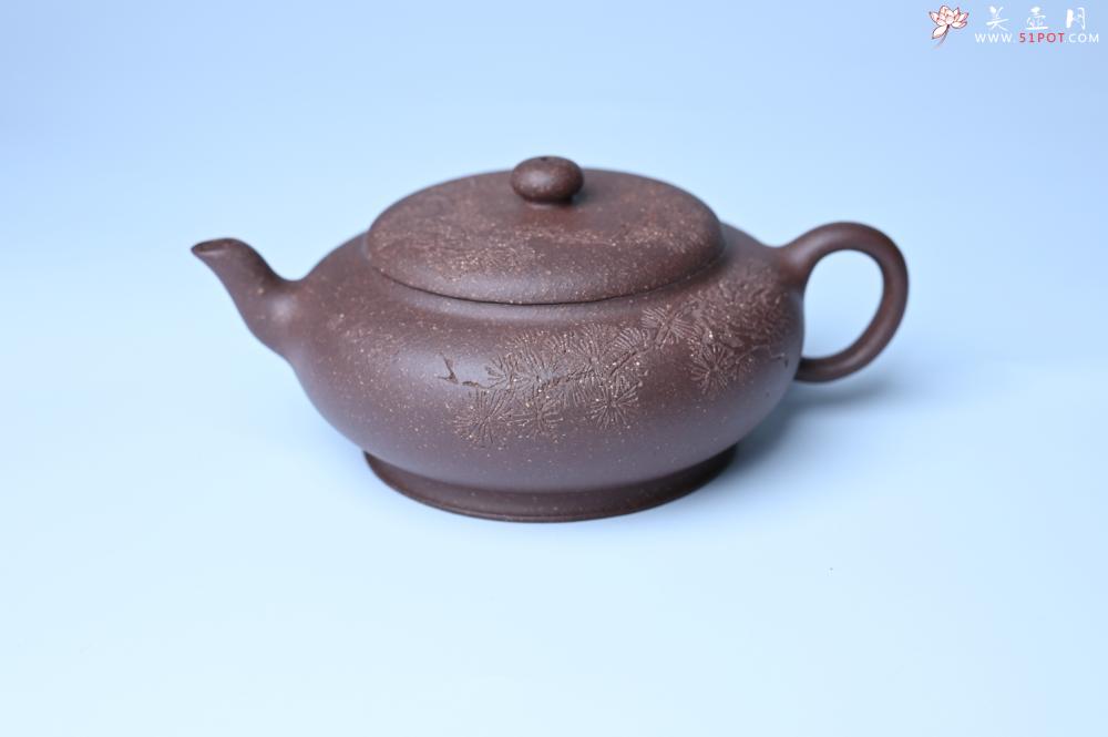 紫砂壶图片：美壶特惠 特好紫泥扁玉壶 装饰不老松 文气十足 - 宜兴紫砂壶网
