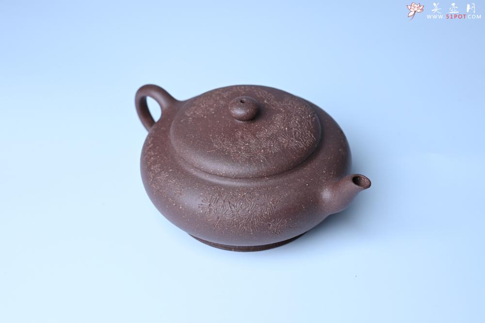 紫砂壶图片：美壶特惠 特好紫泥扁玉壶 装饰不老松 文气十足 - 宜兴紫砂壶网