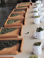 http_imgloadCAZYW1VZ.jpg http_imgloadCAZYW1VZ.jpg