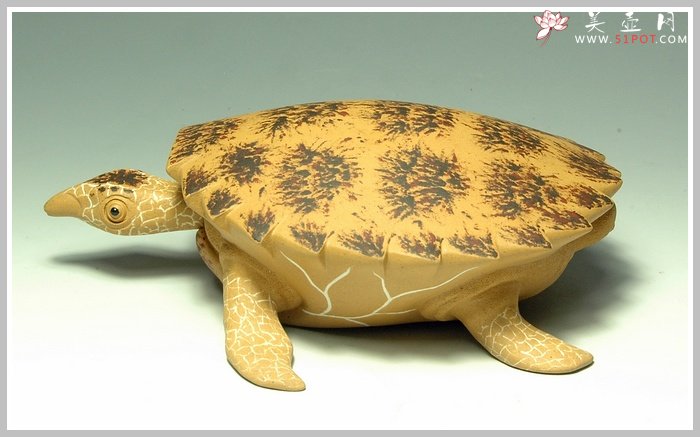 紫砂壶图片：黄金海龟 精细如生 - 宜兴紫砂壶网