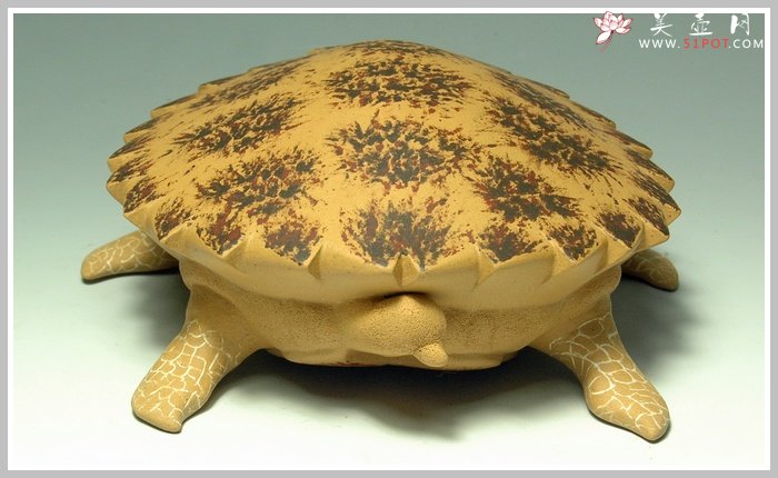 紫砂壶图片：黄金海龟 精细如生 - 宜兴紫砂壶网