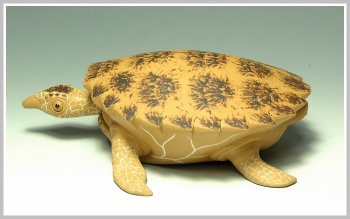 紫砂壶图片：黄金海龟 精细如生 - 宜兴紫砂壶网