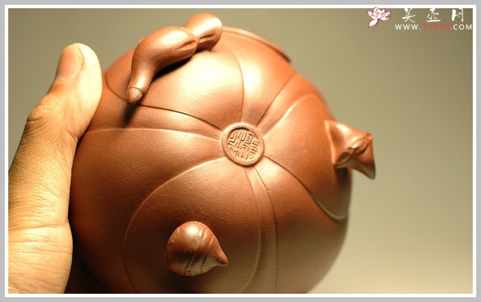 紫砂壶图片：青蛙莲子 - 宜兴紫砂壶网