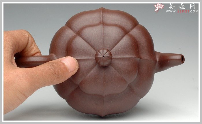 紫砂壶图片：大菱花 - 宜兴紫砂壶网