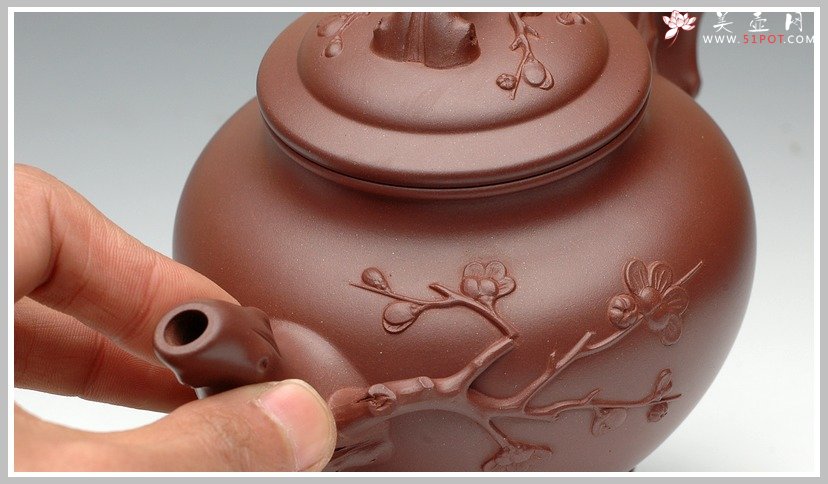 紫砂壶图片：报春 - 宜兴紫砂壶网