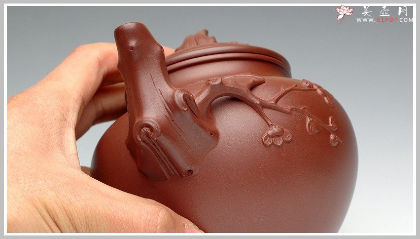 紫砂壶图片：报春 - 宜兴紫砂壶网