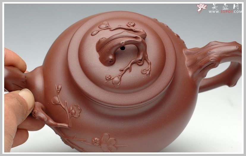 紫砂壶图片：报春 - 宜兴紫砂壶网