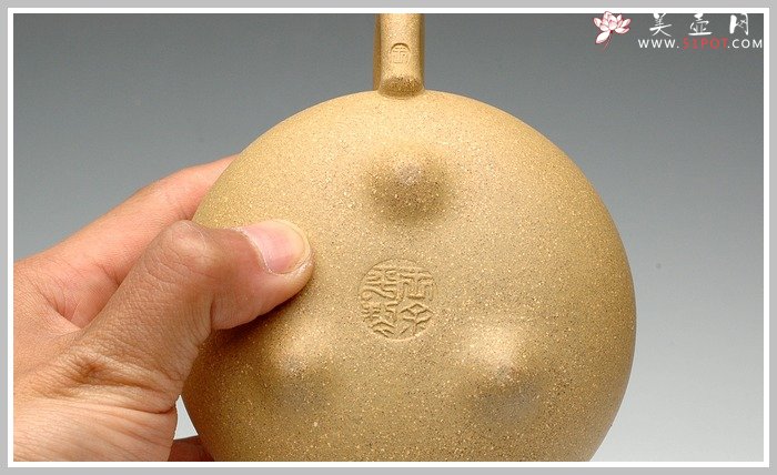 紫砂壶图片：乳丁 - 宜兴紫砂壶网