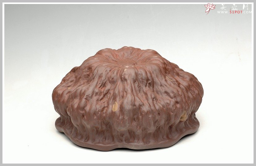 紫砂壶图片：刘景-莲蓬水洗 - 宜兴紫砂壶网