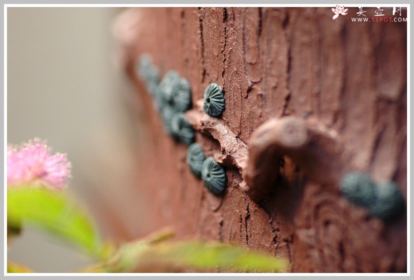 紫砂壶图片：全手松梅水洗杯子套组 - 宜兴紫砂壶网