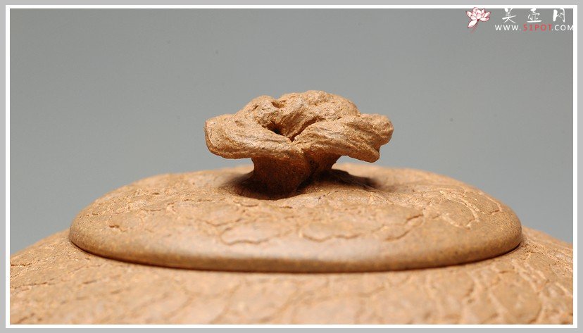 紫砂壶图片：夏立 全手小供春 - 宜兴紫砂壶网