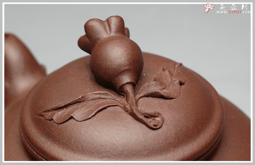 紫砂壶图片：饱满可人之秋硕 - 宜兴紫砂壶网