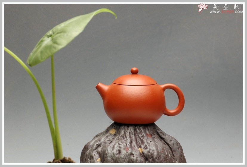 紫砂壶图片：迷人手中宝  迷你全手小西施 仅90cc - 宜兴紫砂壶网