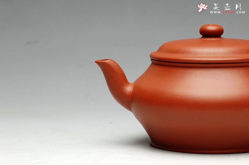 紫砂壶图片：蒋小琴老师新品 清丽婉约 全手老味宫灯 - 宜兴紫砂壶网