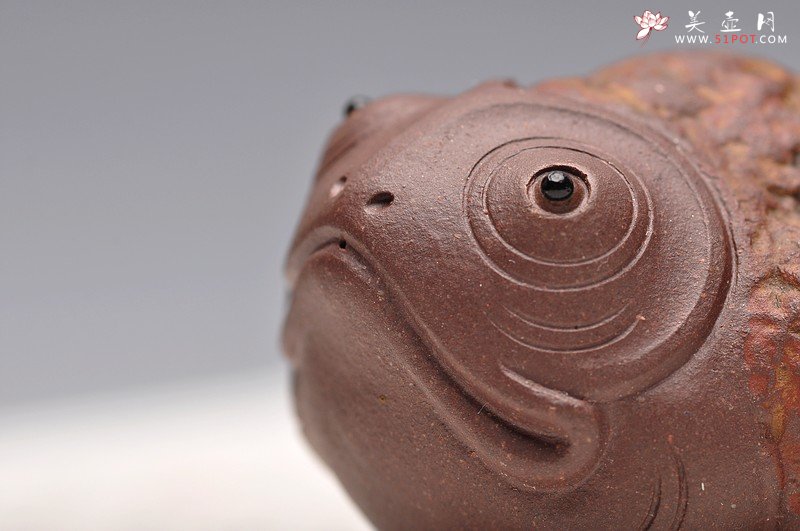 紫砂壶图片：憨态可掬 意趣之五彩金蟾 - 宜兴紫砂壶网