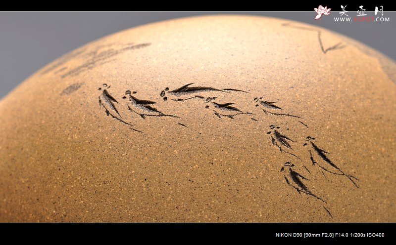 紫砂壶图片：充满活力 田园情趣 游鱼之乐 瓜趣2 - 宜兴紫砂壶网