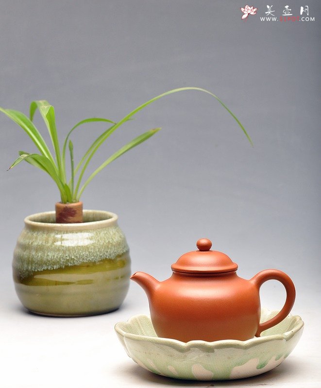 紫砂壶图片：秋水为神玉为骨 - 宜兴紫砂壶网