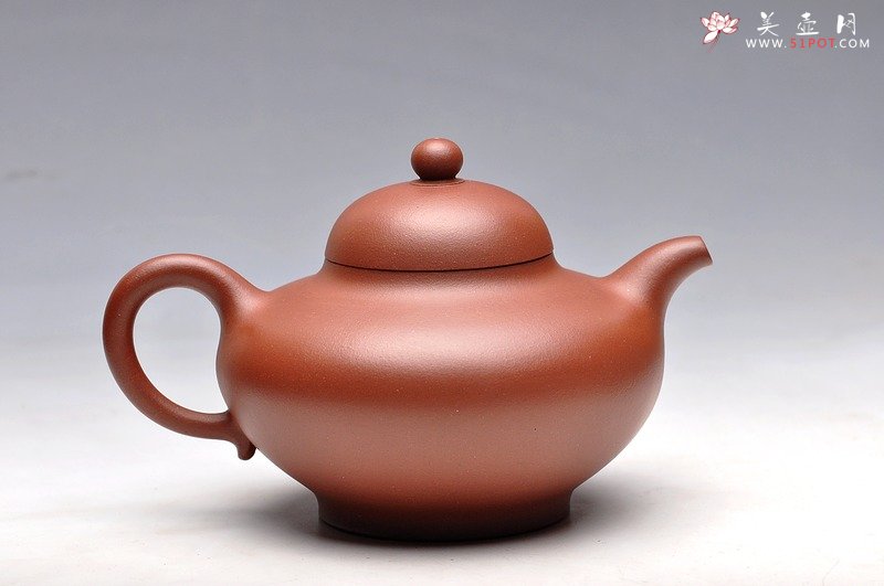 紫砂壶图片：秀气可人 体态丰润 尹君峰壬辰年新品 全手华颖 - 宜兴紫砂壶网