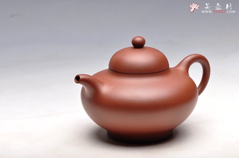 紫砂壶图片：秀气可人 体态丰润 尹君峰壬辰年新品 全手华颖 - 宜兴紫砂壶网