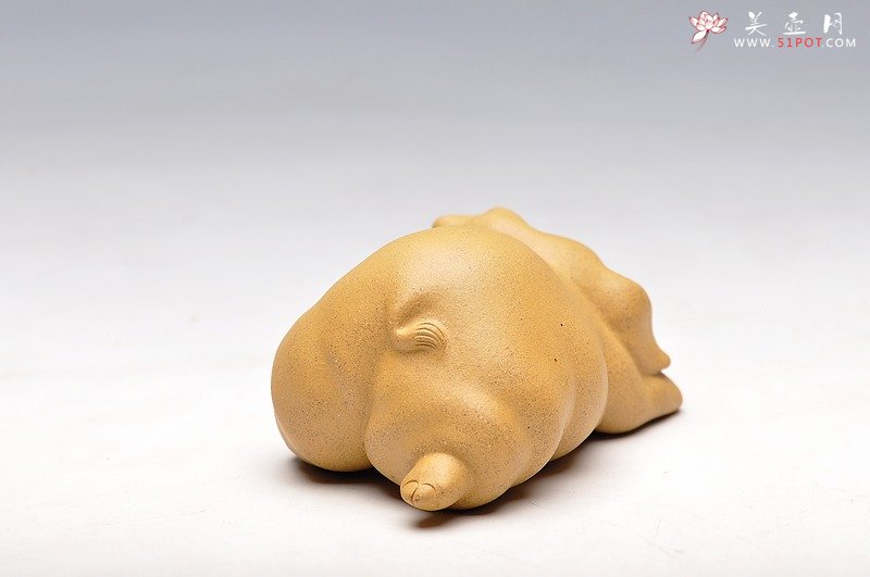 紫砂壶图片：小喜猪 福猪 壬辰年新品 优质段泥 不一般的甜蜜 - 宜兴紫砂壶网