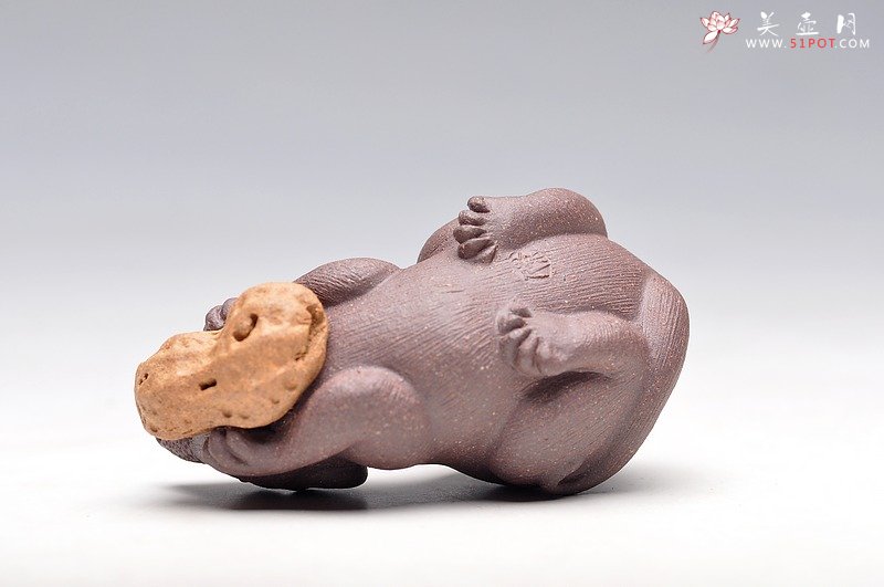 紫砂壶图片：掌中宝，花生鼠 特别好养 - 宜兴紫砂壶网