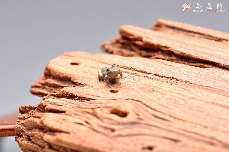 紫砂壶图片：美猴戏蛙镇纸 / 香插  美猴已经长大了~~美猴戏蛙镇纸 / 香插  - 宜兴紫砂壶网