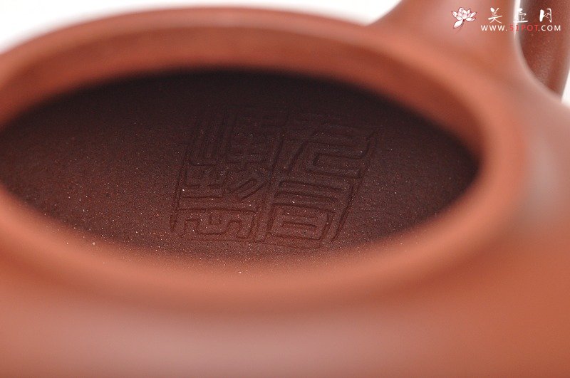 紫砂壶图片：秀气可人 体态丰润 尹君峰壬辰年新品 全手华颖 - 宜兴紫砂壶网