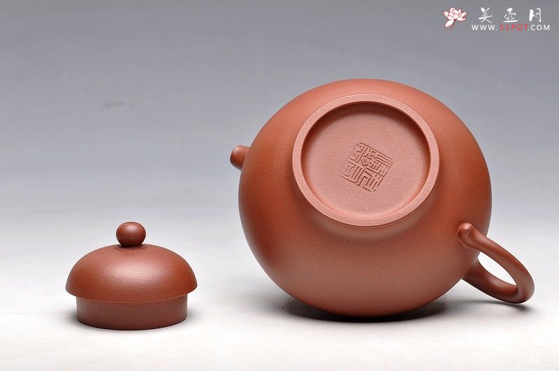 紫砂壶图片：秀气可人 体态丰润 尹君峰壬辰年新品 全手华颖 - 宜兴紫砂壶网