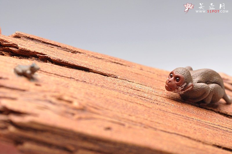 紫砂壶图片：美猴戏蛙镇纸 / 香插  美猴已经长大了~~美猴戏蛙镇纸 / 香插  - 宜兴紫砂壶网