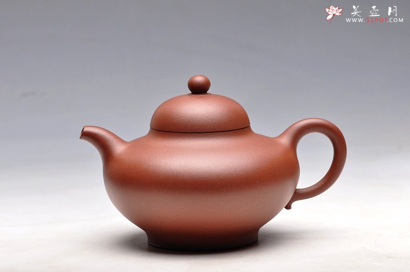 紫砂壶图片：秀气可人 体态丰润 尹君峰壬辰年新品 全手华颖 - 宜兴紫砂壶网